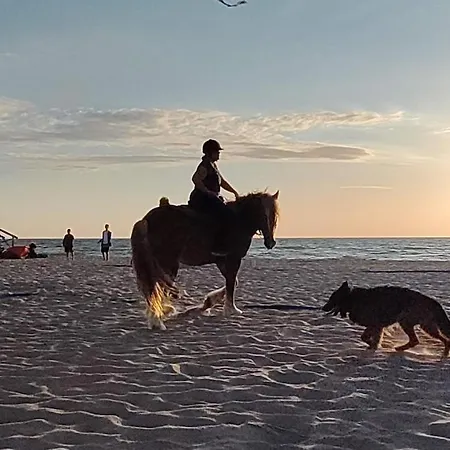 Village Dom wakacyjny Dąbki