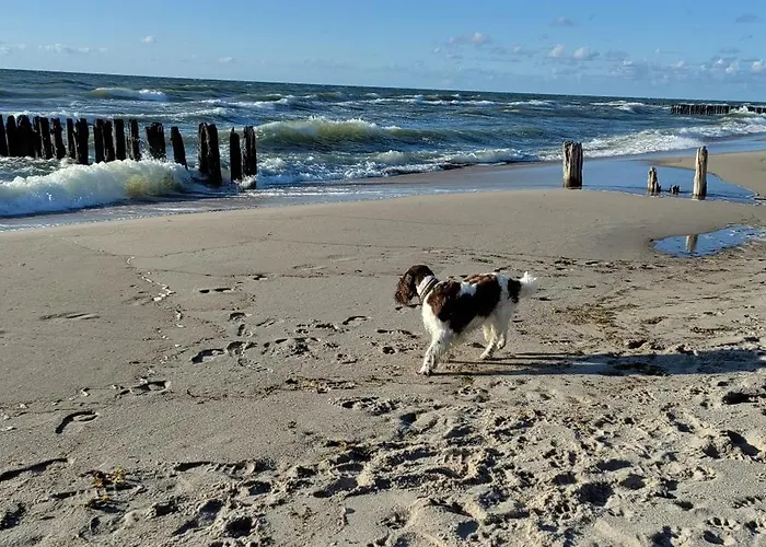 Nyaraló Village - Rena Dąbki