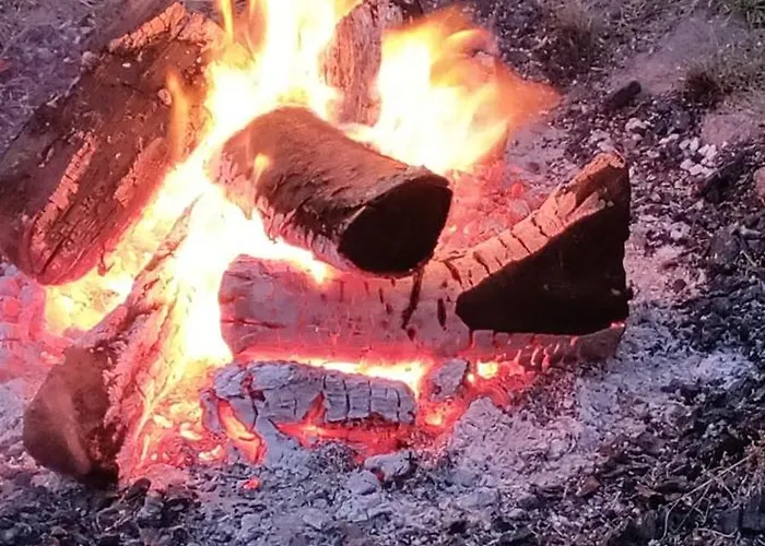 Village - Rena Dąbki