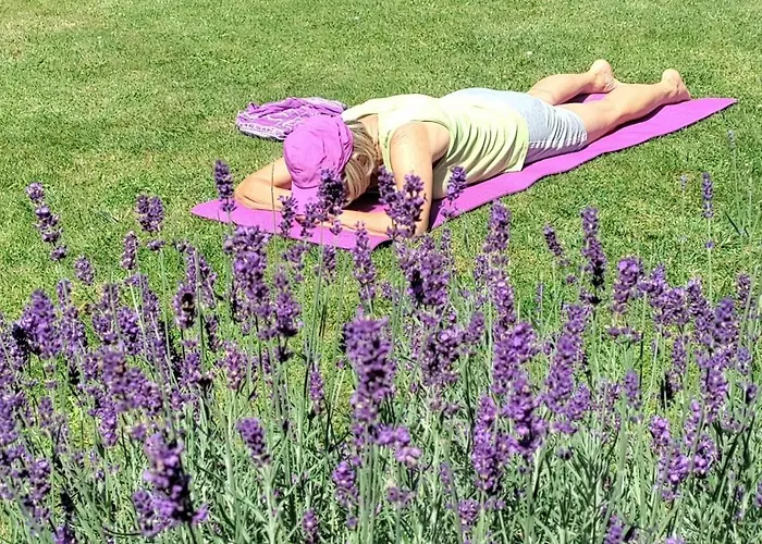 Nyaraló Village - Rena