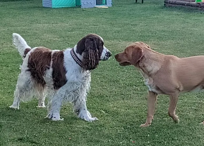 Village - Rena Nyaraló Dąbki