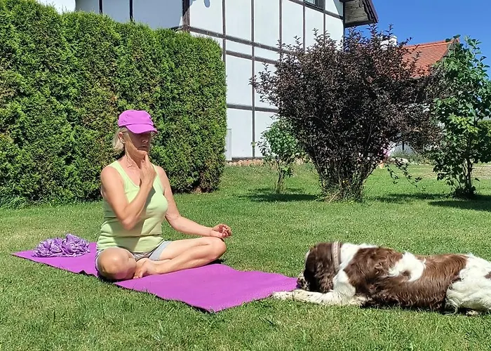 Village - Rena Nyaraló